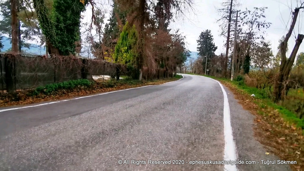 path to ephesus from the main road
