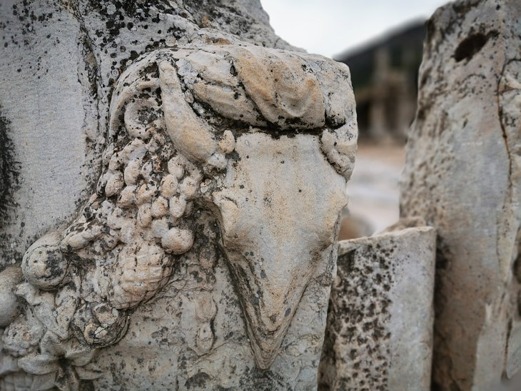 domitian ephesus turkey
