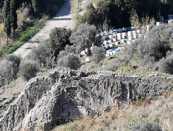beekeeping in ephesus kusadasi turkey