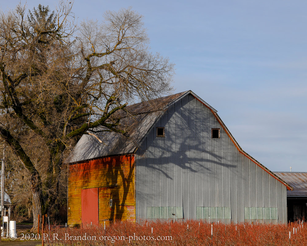 Photo of barn in Washington County, Oregon