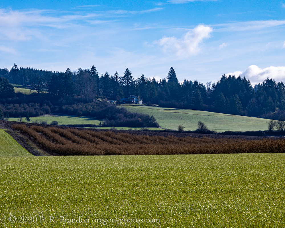 Photo of fields and hill on Tualatin Valley Hwy.
