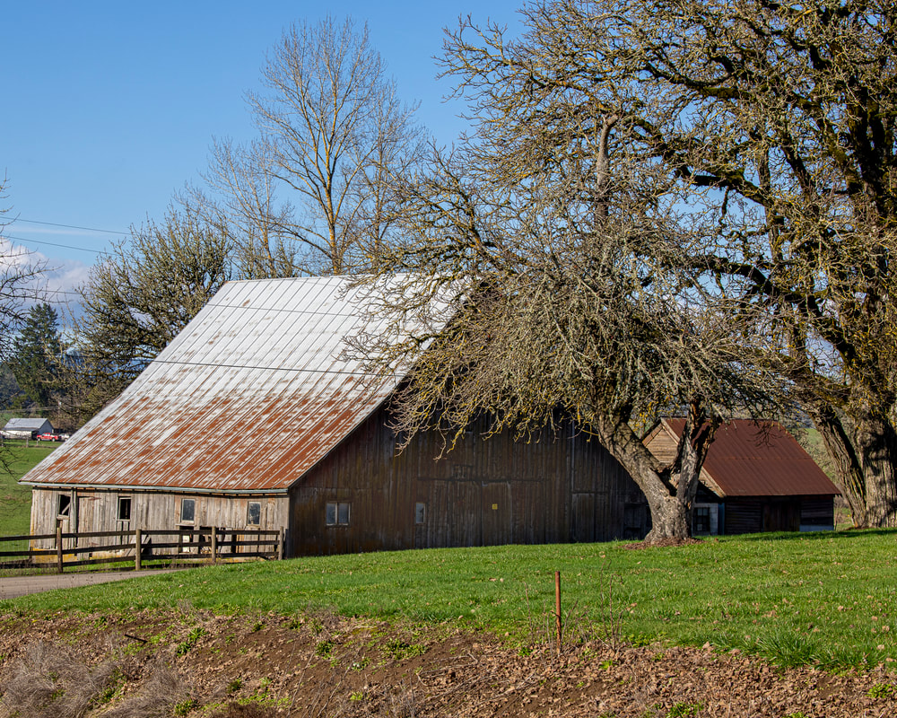 Photo of barn in Yamhill County, Oregon