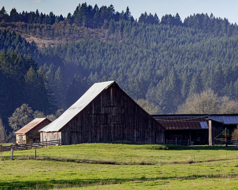 Photo of barn in Yamhill County, Oregon