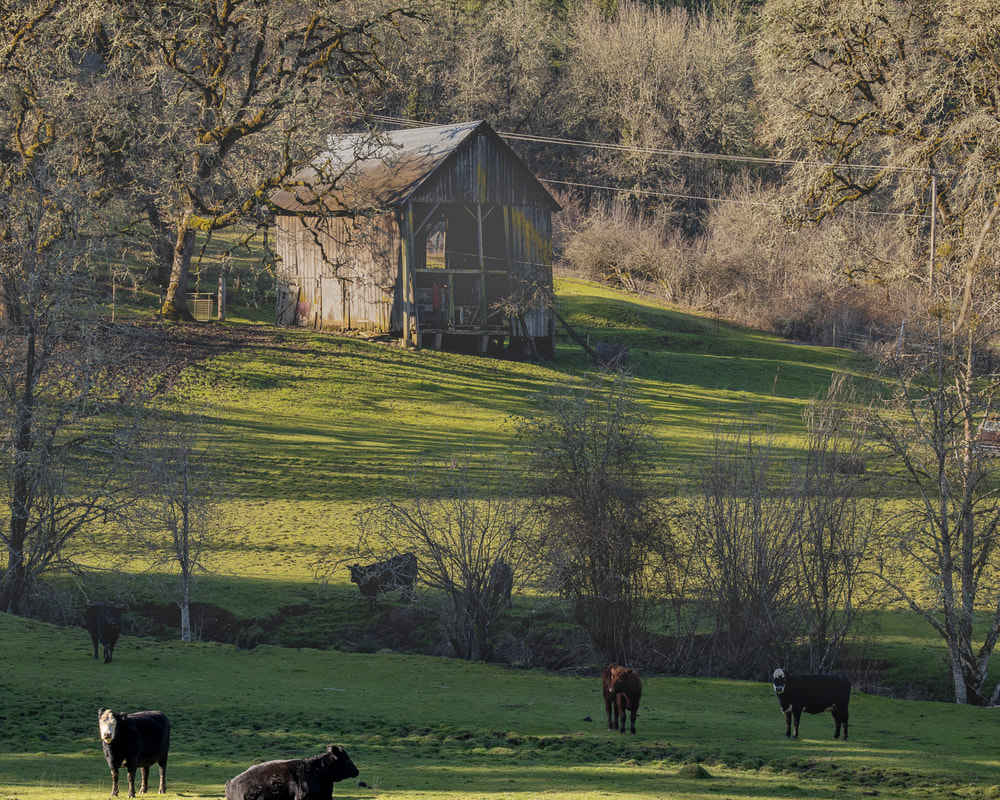 Photo of barn in Yamhill County, Oregon