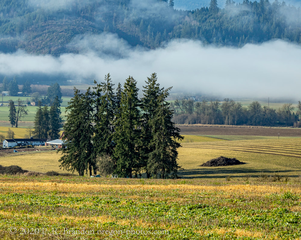 Photo of the countryside near NW Strohmayer Rd.