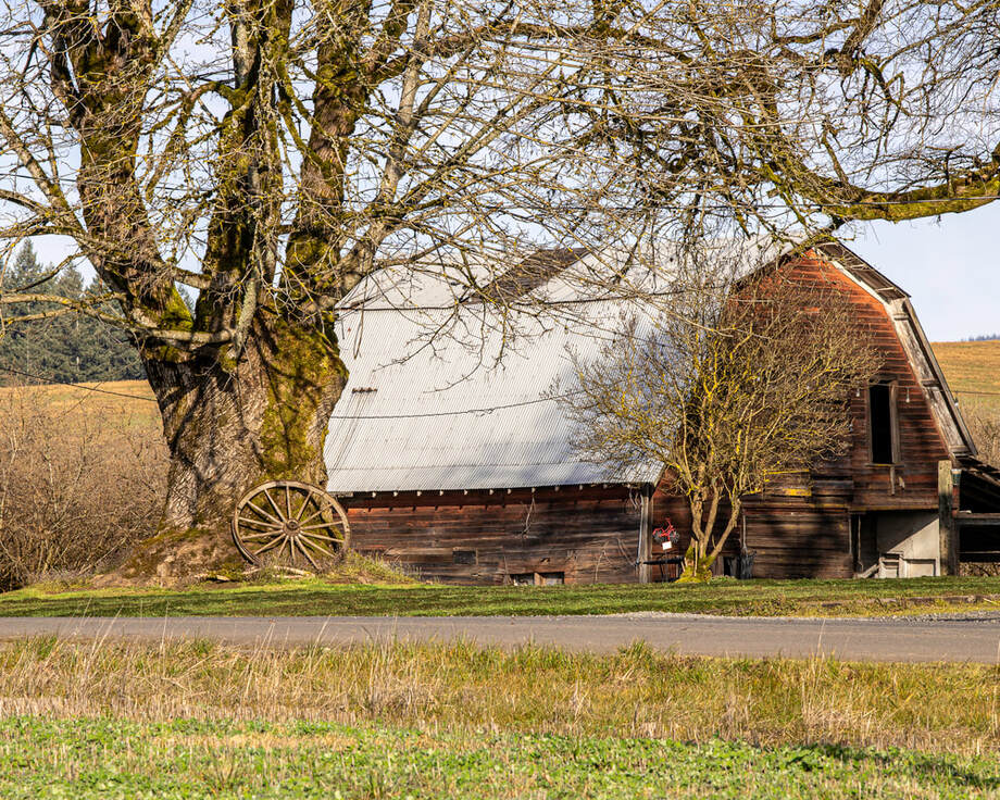 Photo of barn in Washington County, Oregon