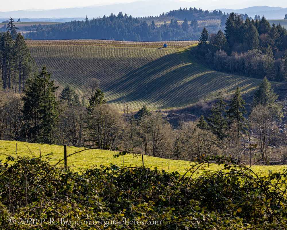 Photo of hills on NE Woodland Loop Rd.
