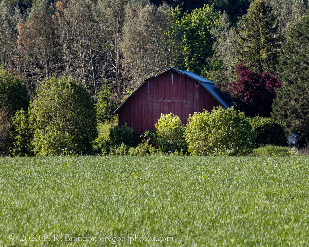 Barn on Zena Rd.