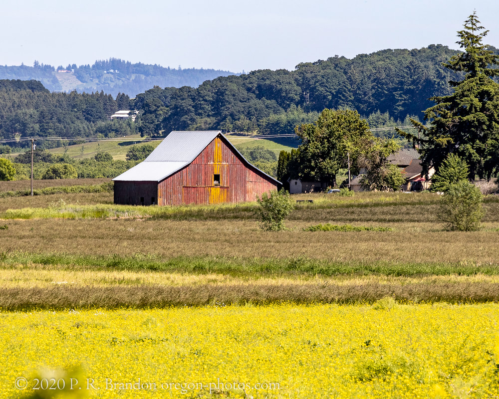 Barn on W. Perrydale Rd.