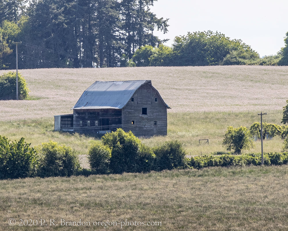 Barn on Smithfield Rd.