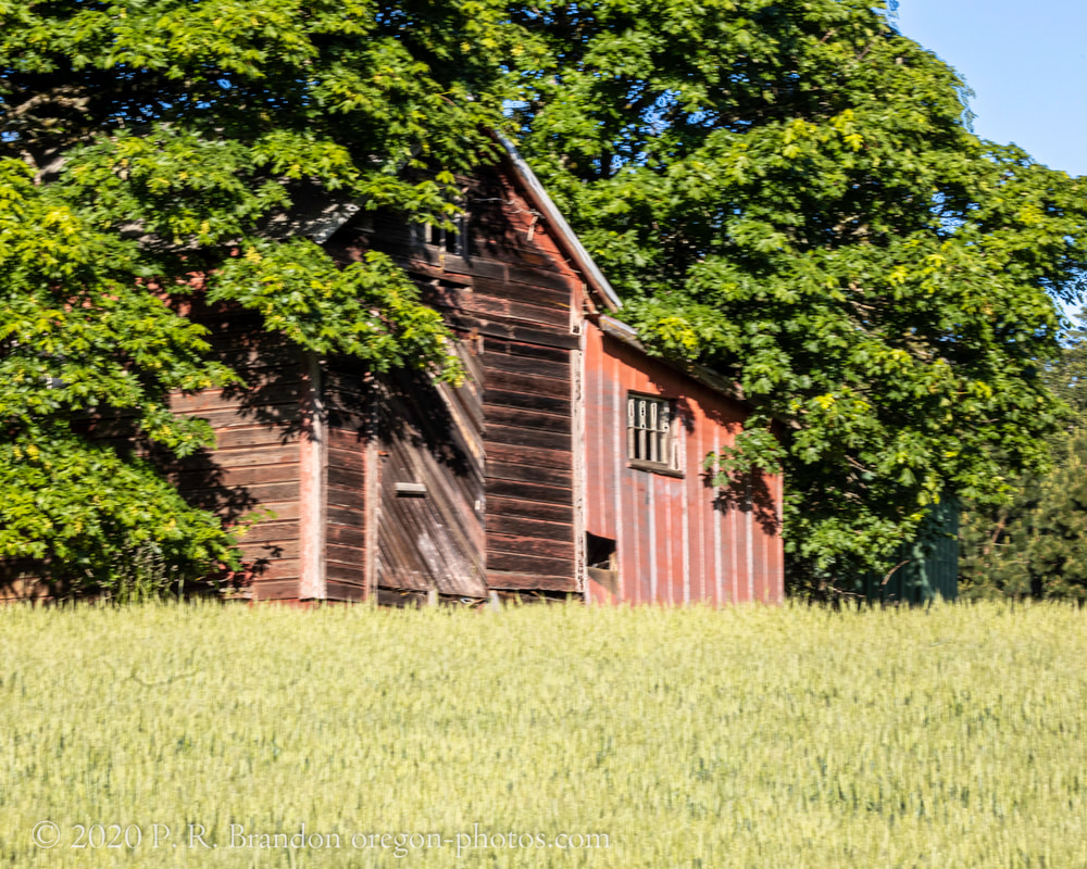 Barn on Oak Grove Rd.