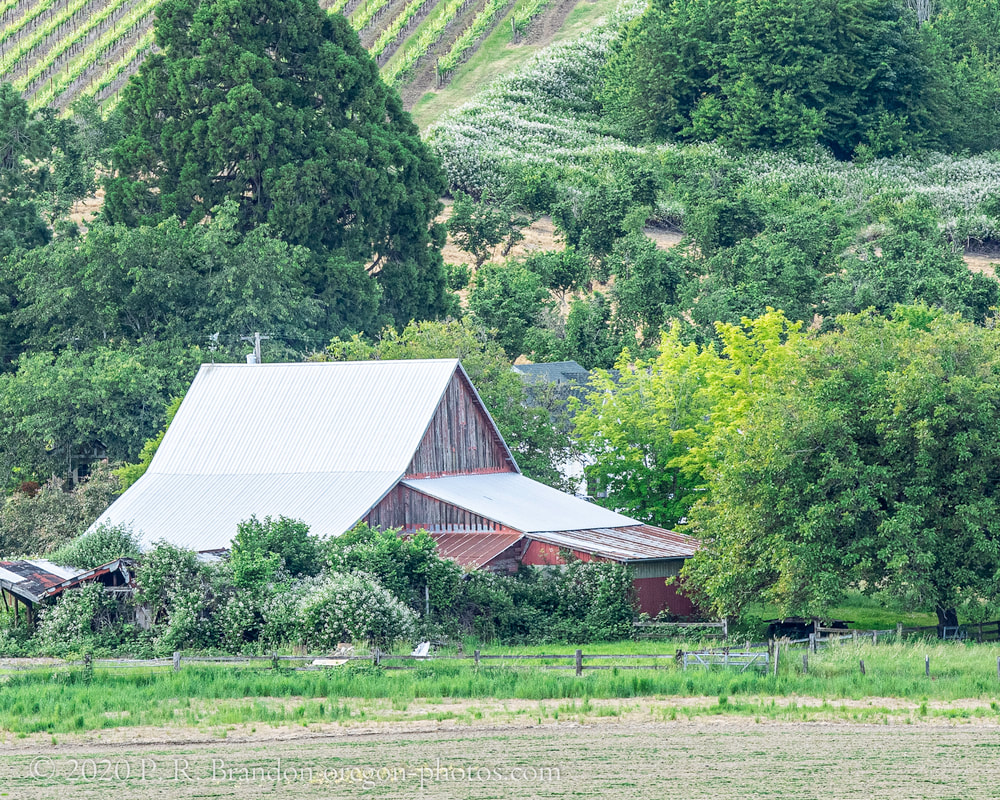 Photo of barn in Washington County, Oregon