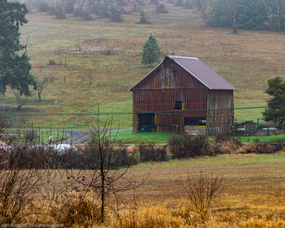 Photo of barn in Washington County, Oregon