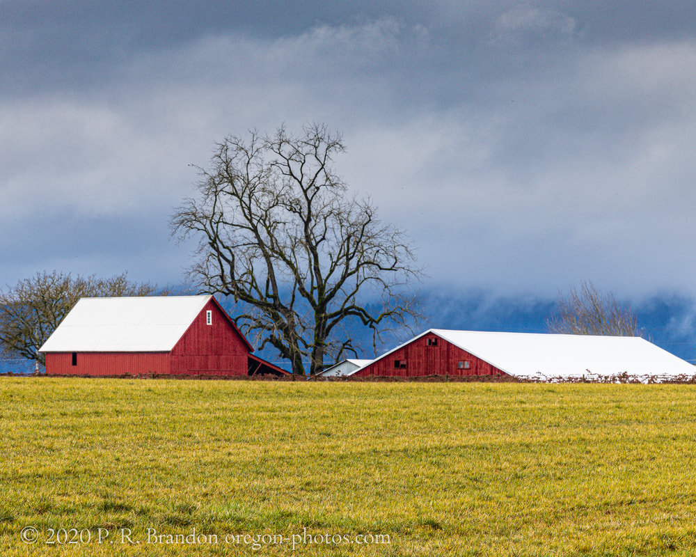 Photo of barn in Washington County, Oregon