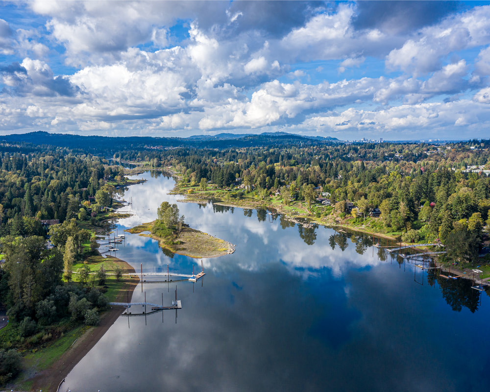 Aerial view of the Willamette River