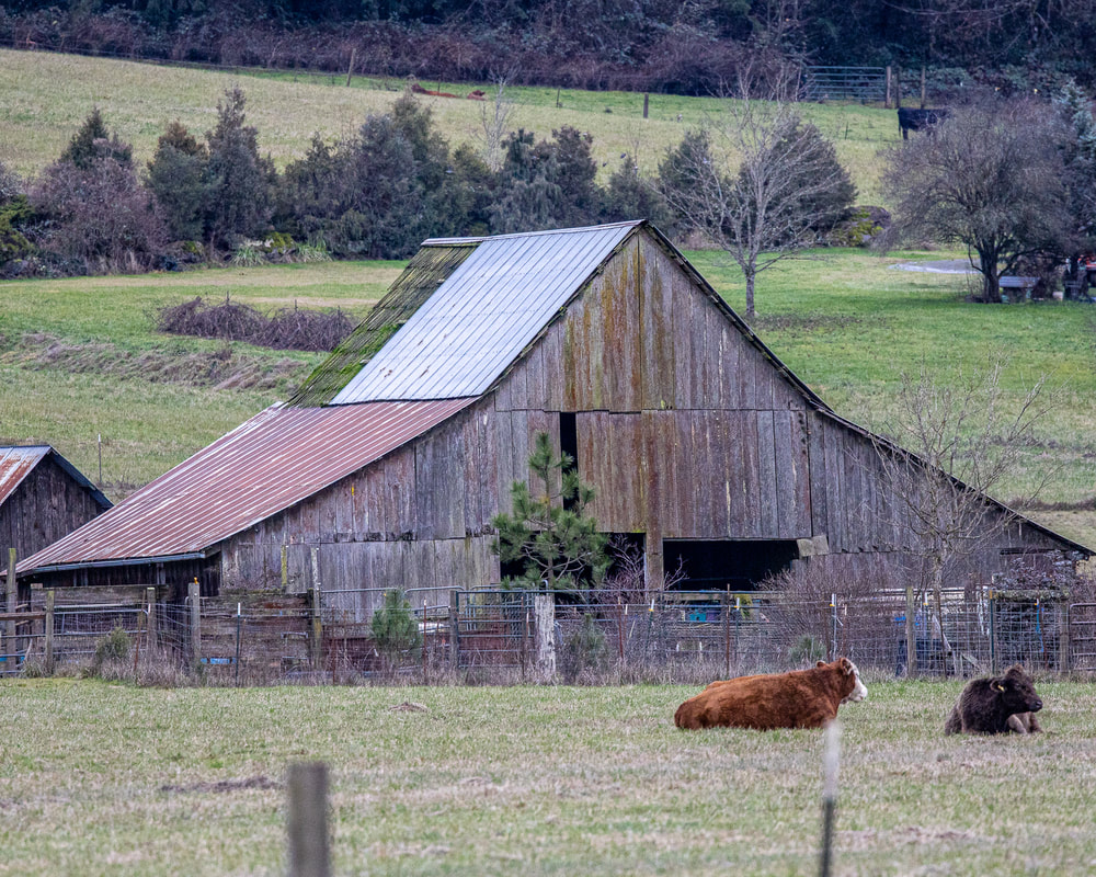 Oregon barn (Clackamas County)