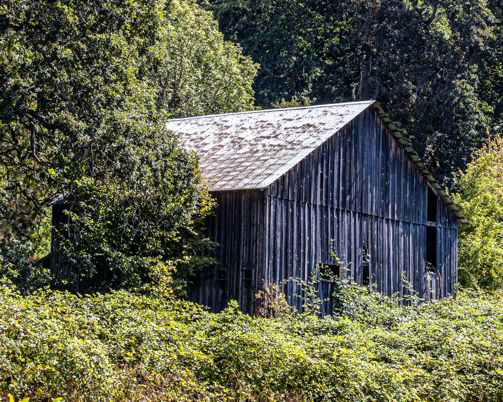 Oregon barn (Marion County)
