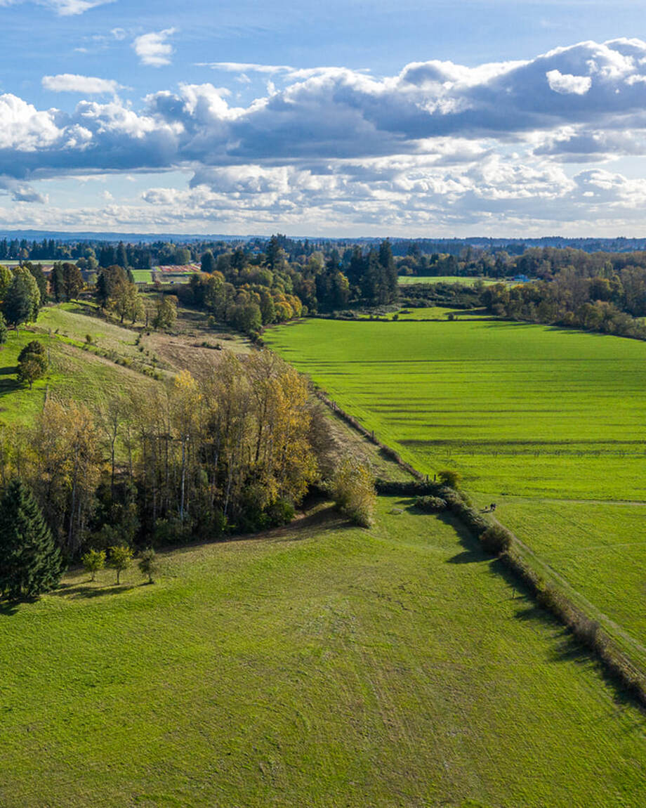 Clackamas County Oregon landscape (drone view) 