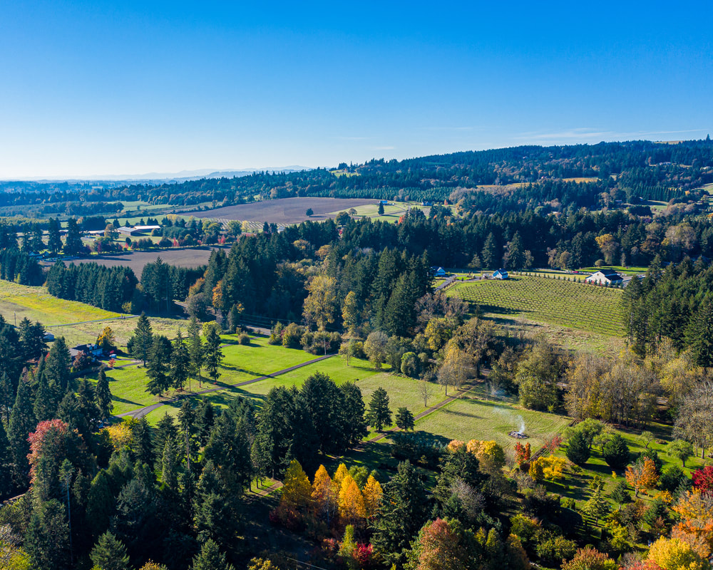 Clackamas County Oregon landscape (drone view) 