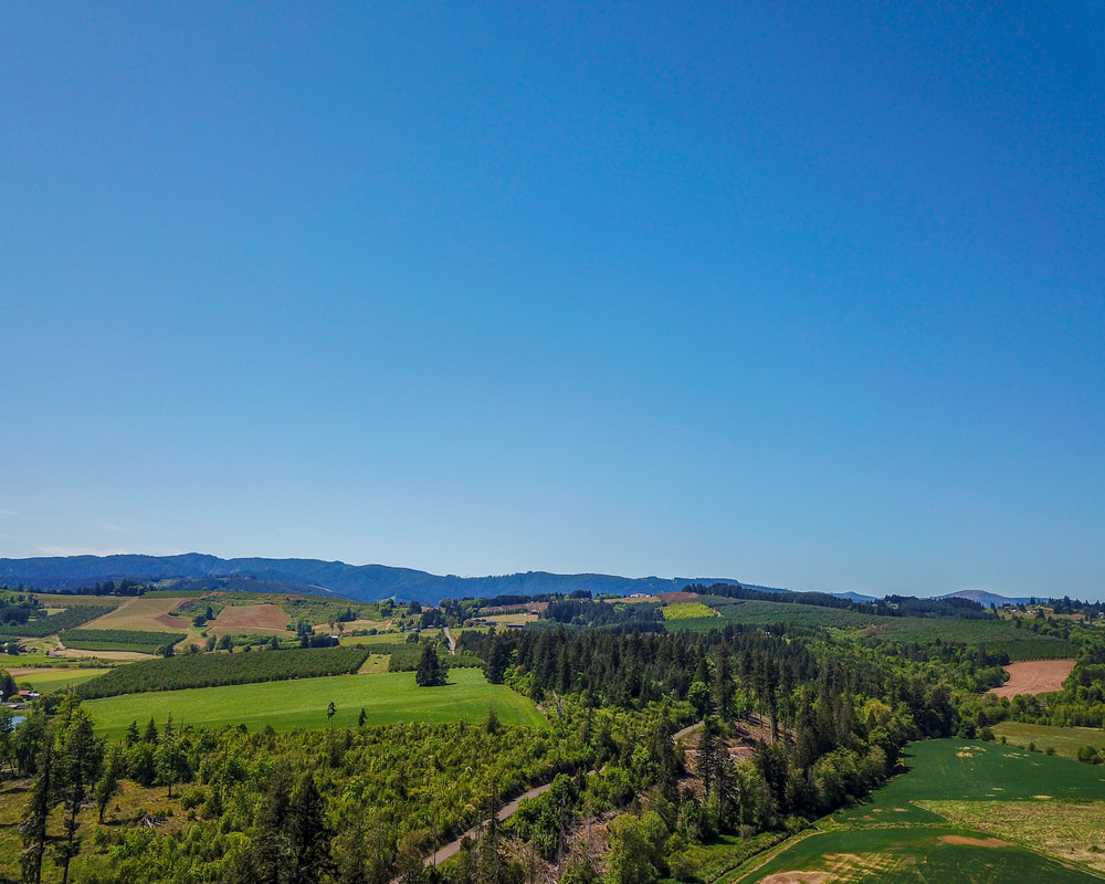 Link to Washington County aerial 360° photo