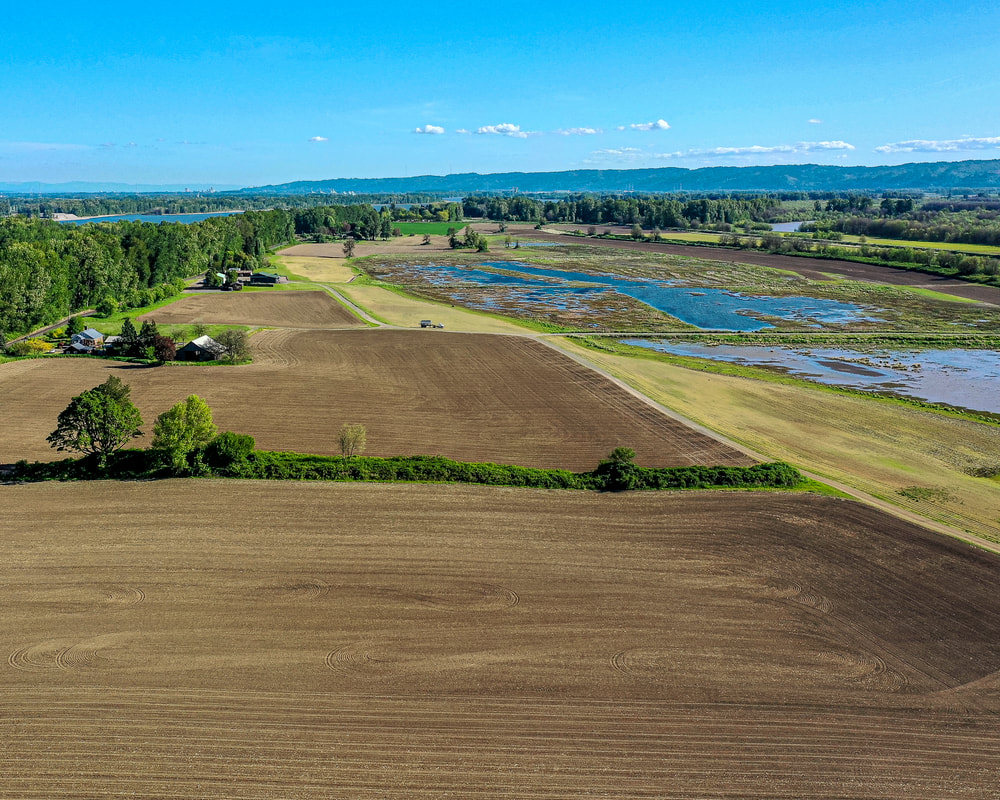 Columbia County Oregon landscape 