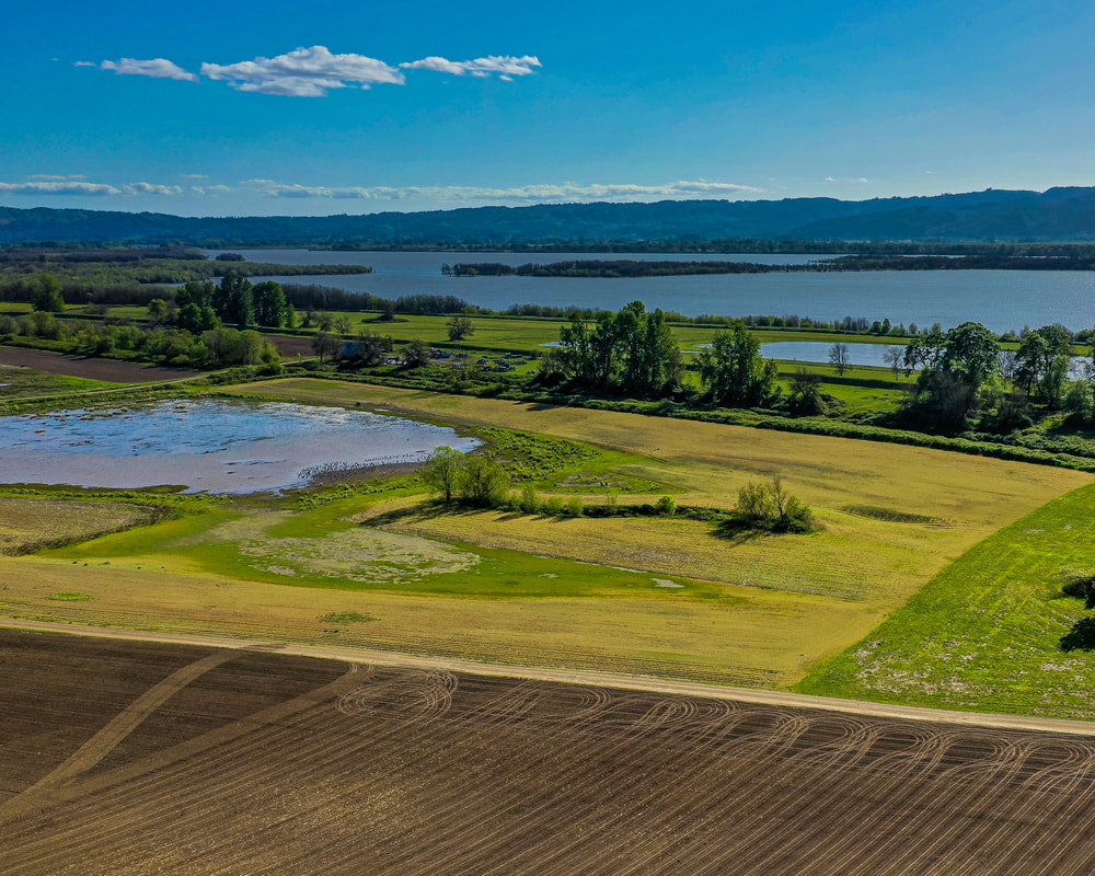 Columbia County Oregon landscape 