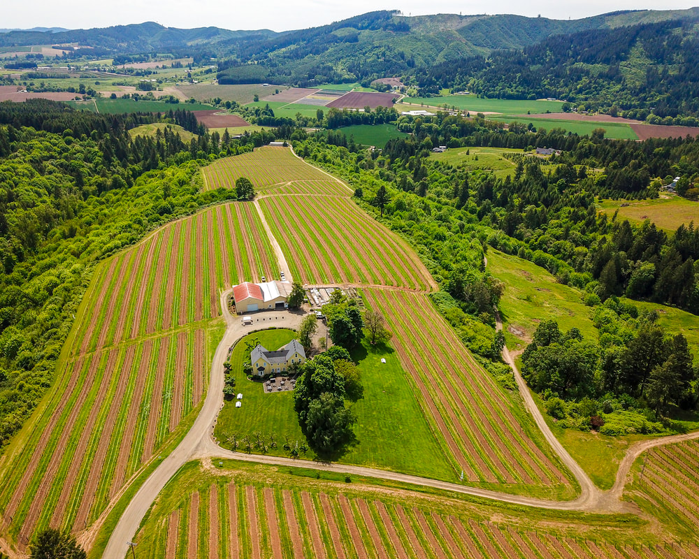Link to Washington County aerial 360° photo