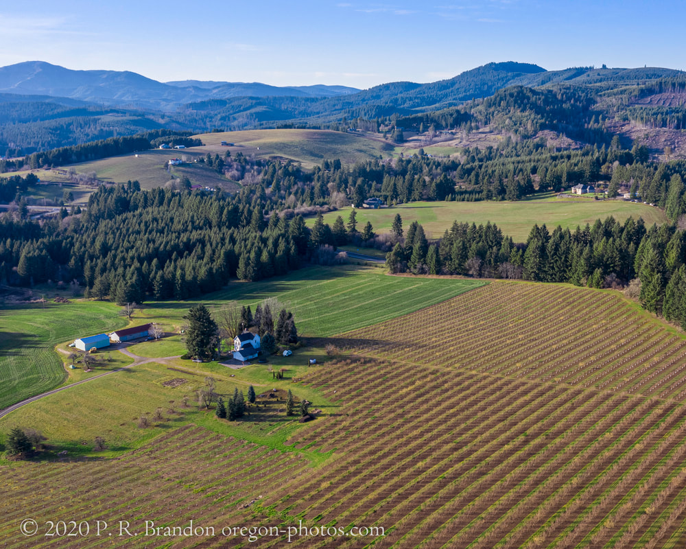 Photo of the countryside near NW Shearer Rd.