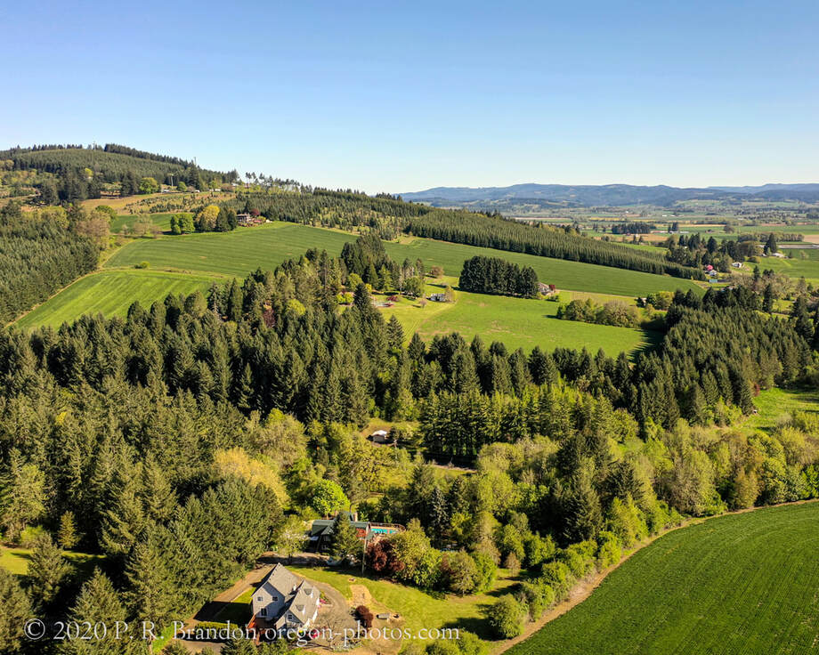 Photo of trees and hill on Thatcher Rd. in Washington County, Oregon