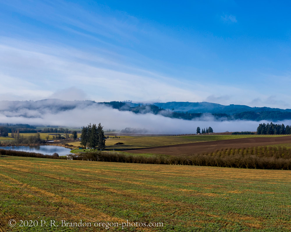 Photo of the countryside near NW Strohmayer Rd.