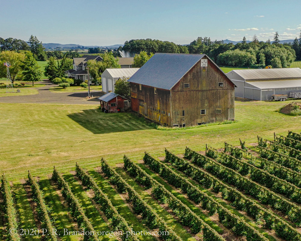 Photo of barn in Washington County, Oregon (drone view)