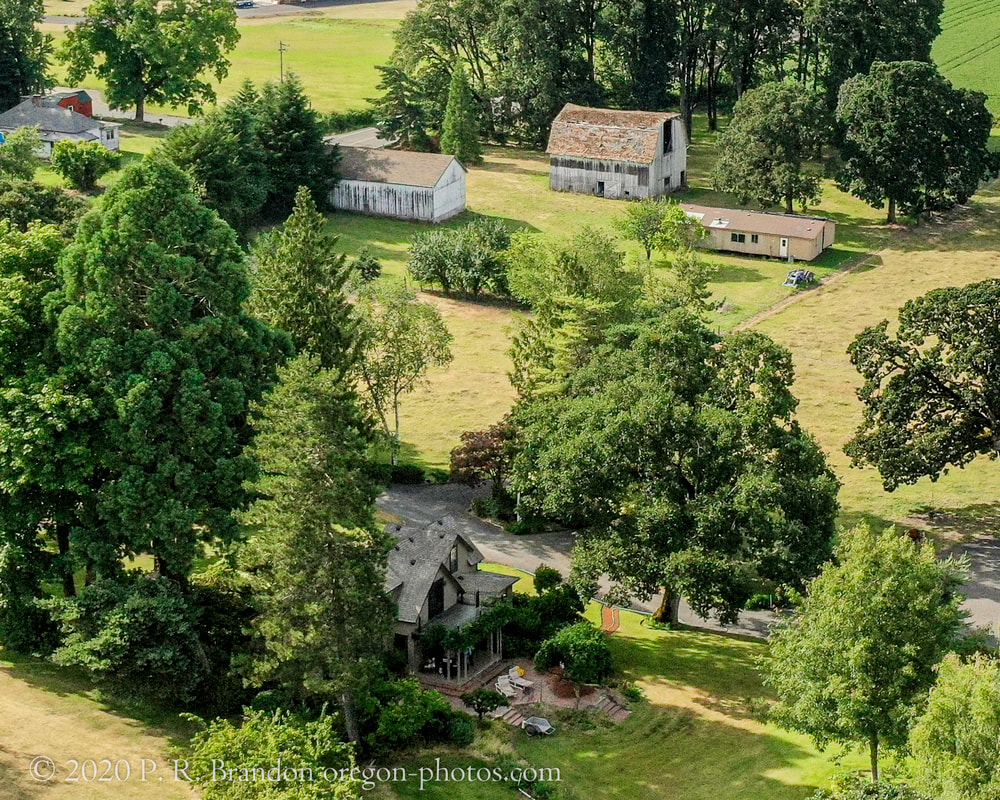 Photo of trees and fields on Hopewell Rd. NW (drone view)