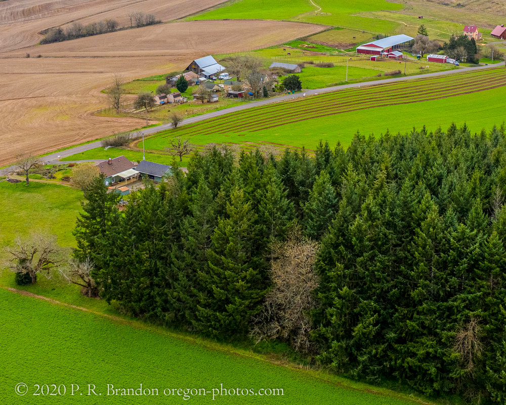 Photo of fields near SW Dixon Hill Rd.  (drone view)