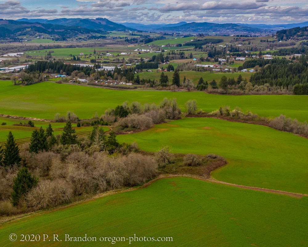Photo of the countryside near SW Dixon Mill. Rd.  (drone view)