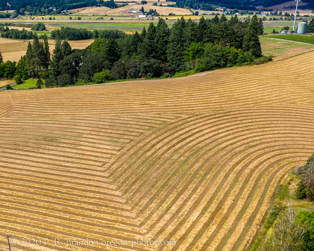 Photo of fields near SW Spring Hill Rd. (drone view)