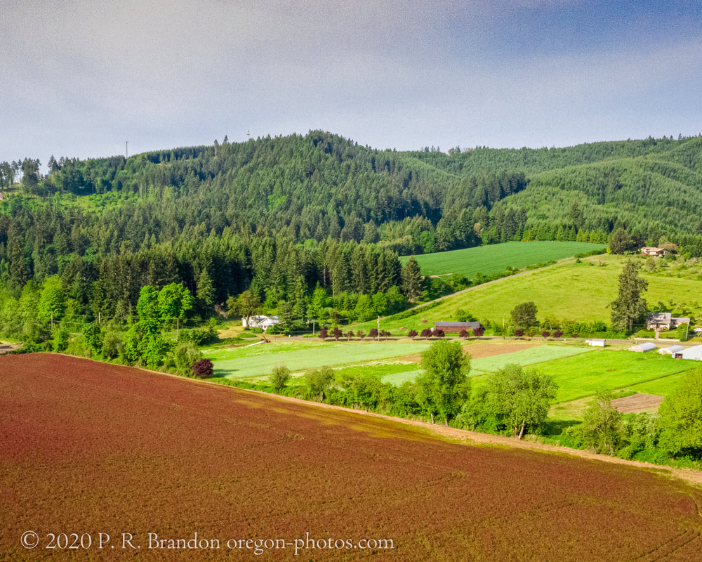 Photo of the countryside near NW Kemper Rd. (drone view)