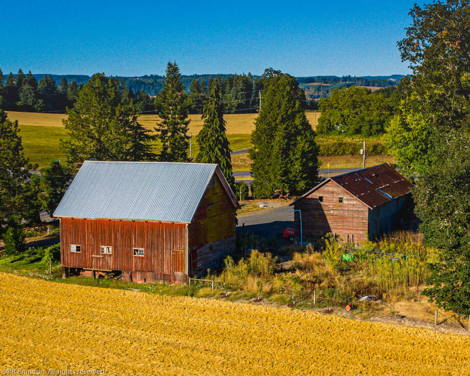 Photo of barn in Washington County, Oregon (drone view)