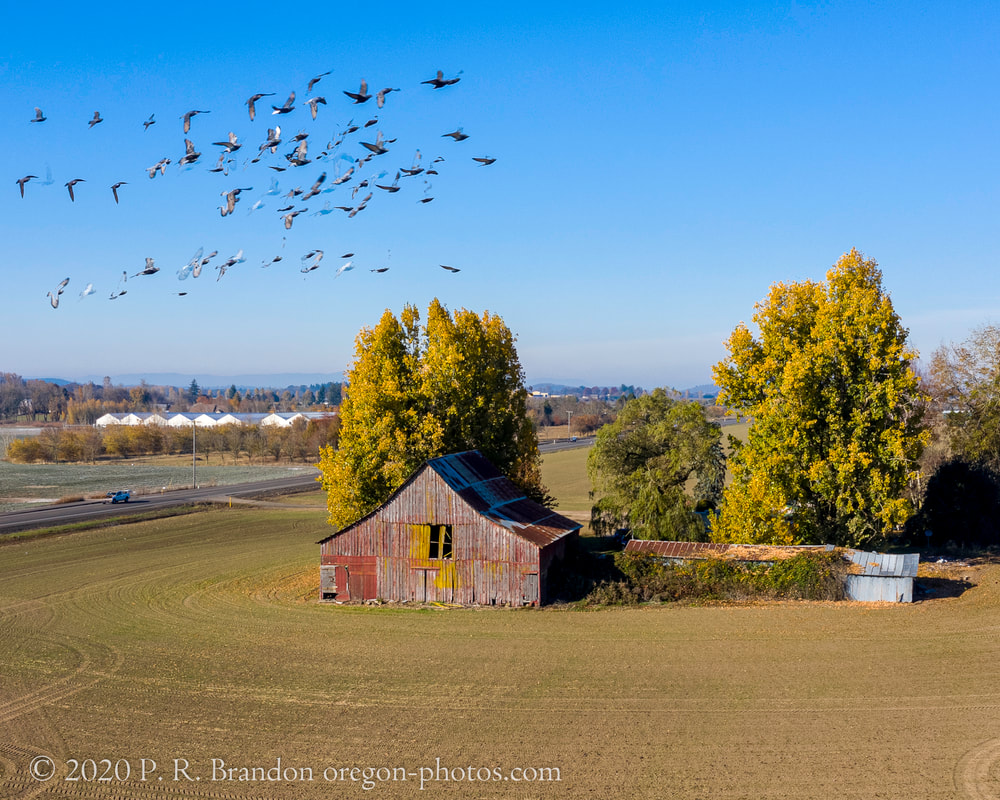 Barn on Pacific Hwy.