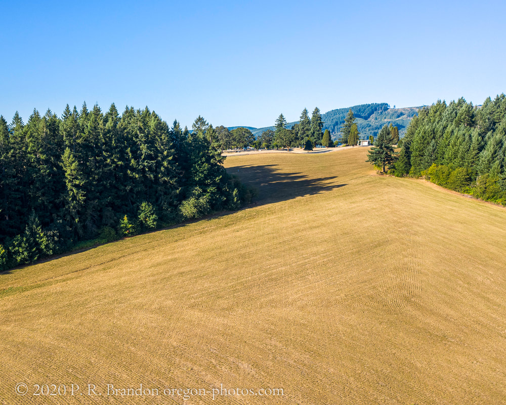 Photo of field by David Hill Rd.  (drone view)