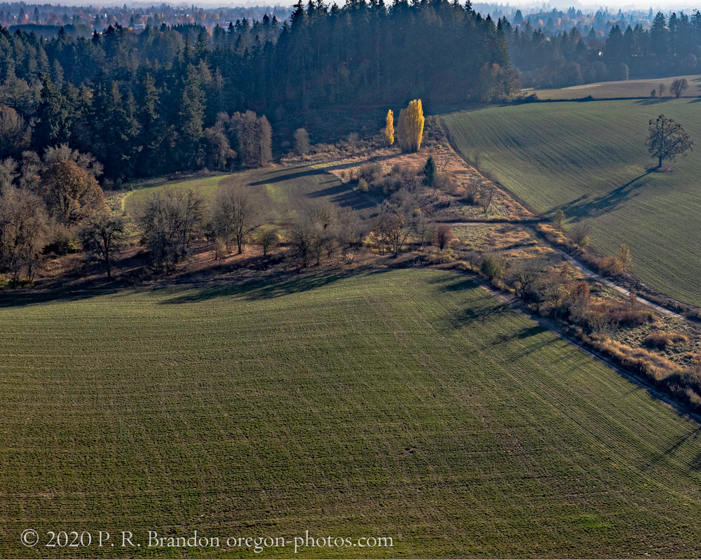 Photo of fields near NW Westside Rd.