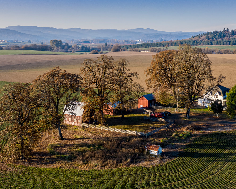 Photo of barn in Yamhill County, Oregon