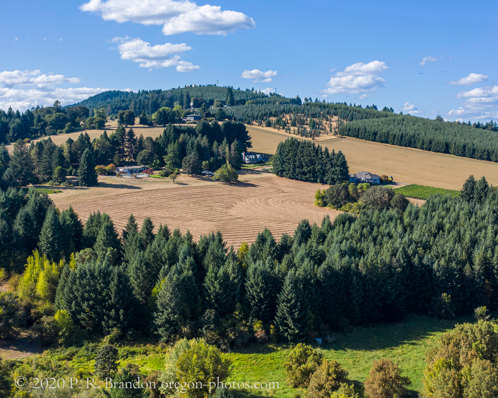 Photo of the countryside near David Hill Rd. (drone view)