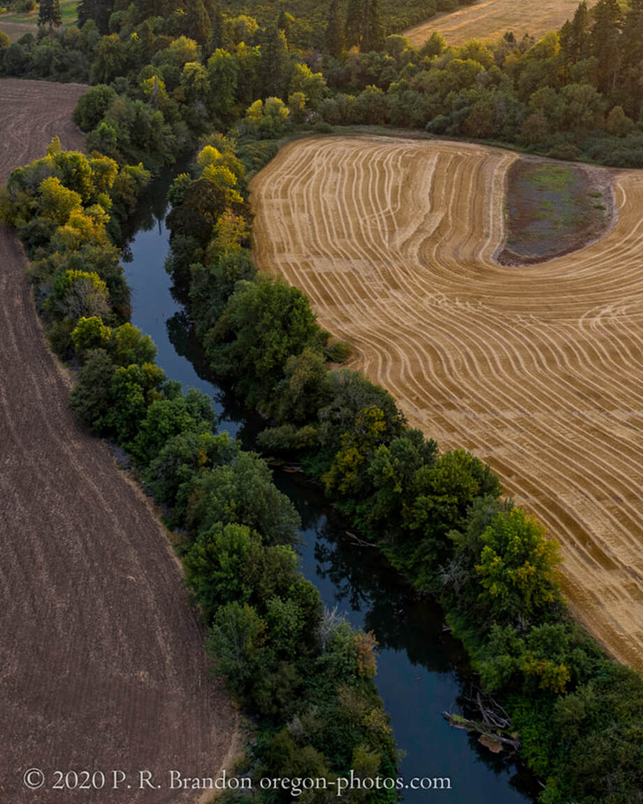 Photo of the Tualatin River by SW River Rd. (drone view)