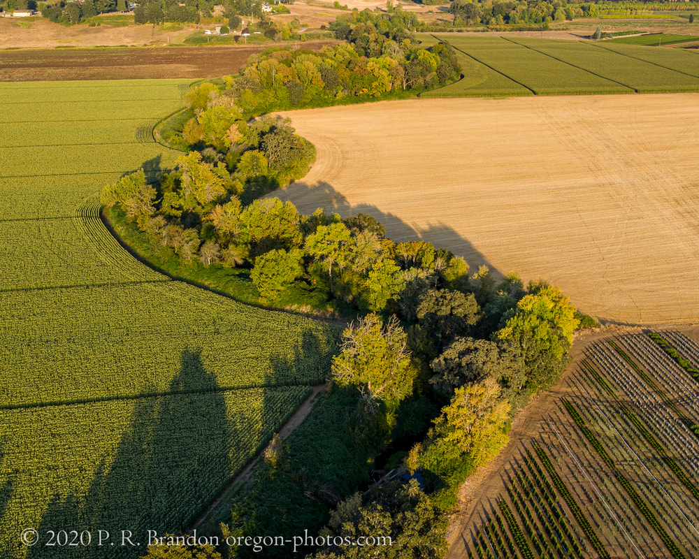 Photo of Gales Creek near SW Ritchey Rd. (drone view)