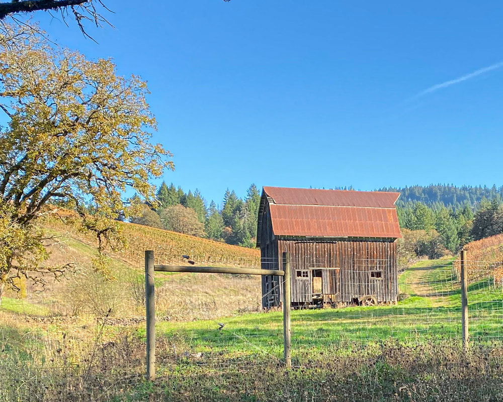 Photo of barn in Yamhill County, Oregon