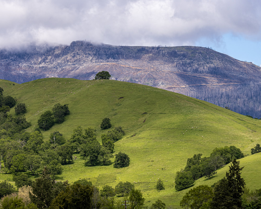 Hillside below mountains in Glide, Oregon