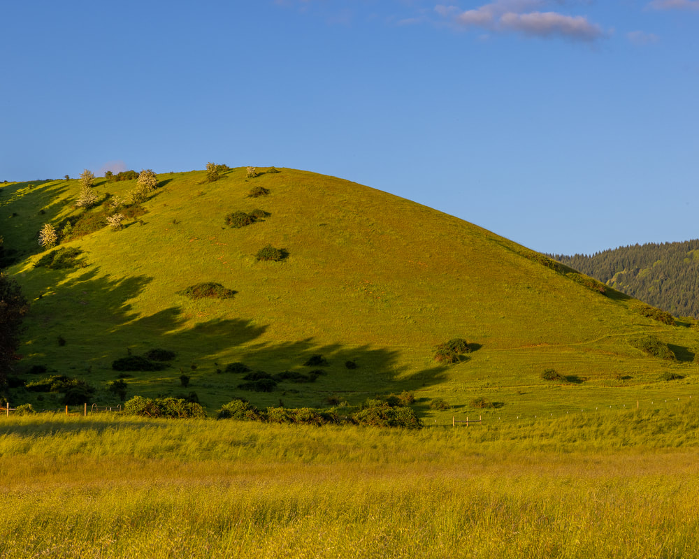Hillside on Singleton Rd., Roseburg North, Oregon