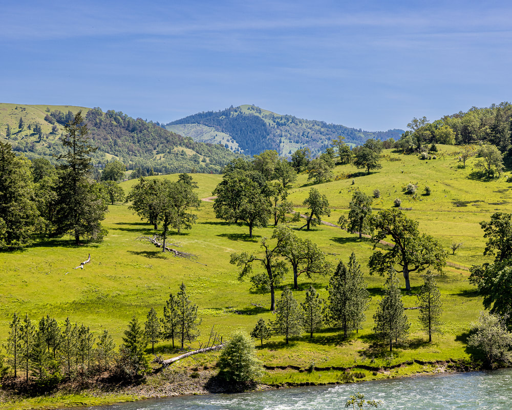 North Umpqua River by Bank Rd., view in Spring, Roseburg North, Oregon