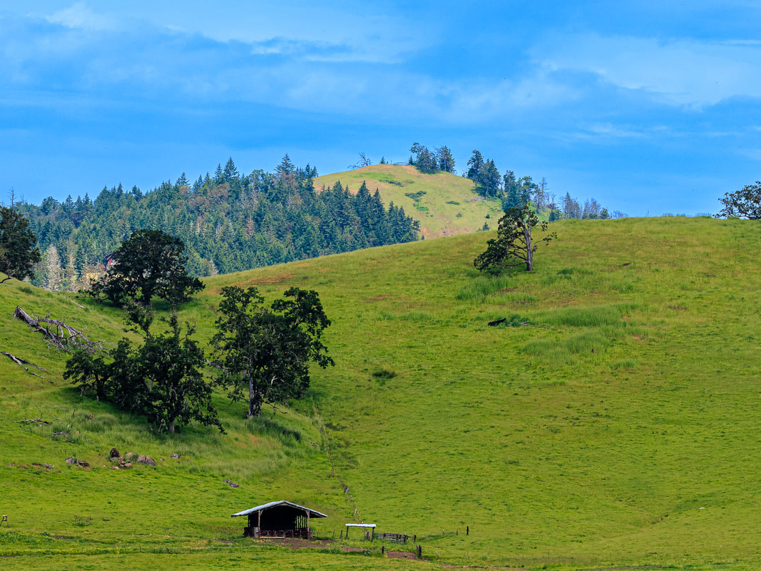 Hillside near Del Rio Rd. & Interstate 5, Roseburg North, Oregon