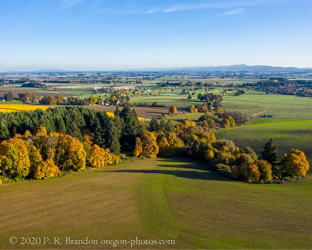 Photo of the countryside near NW Courting Hill Dr. (drone view)